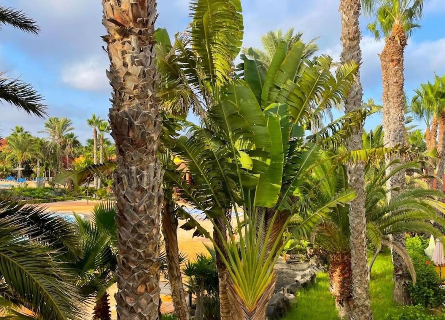 Tamarindo 1 Casa Grace Wifi Free Pool View By Rentalfue Corralejo 0*,
